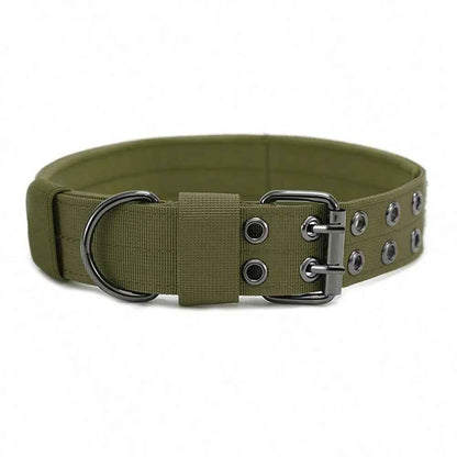 collier pour grand chien vert