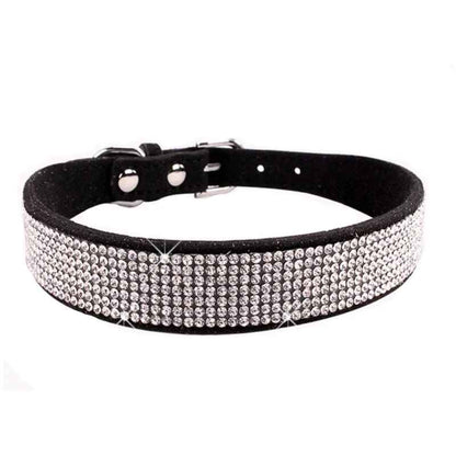  collier pour petit chien noir