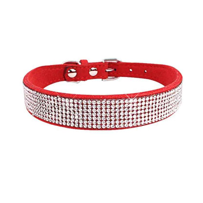  collier pour petit chien rouge