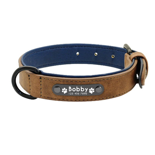 collier prenom pour chien personnalisé esthétique et sécuritaire