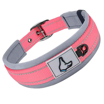 Collier Réfléchissant Pour Chien | Nuit Secure - Excursion Chien