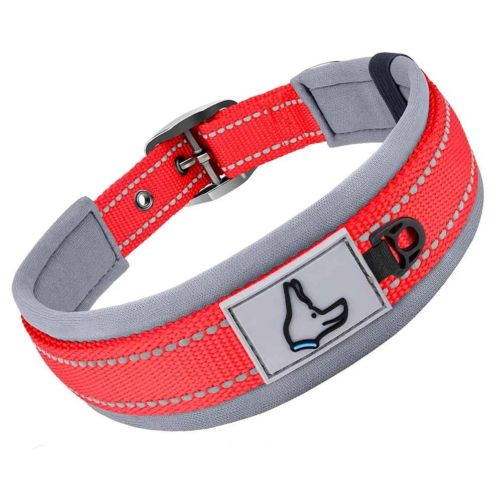 Collier Réfléchissant Pour Chien | Nuit Secure - Excursion Chien