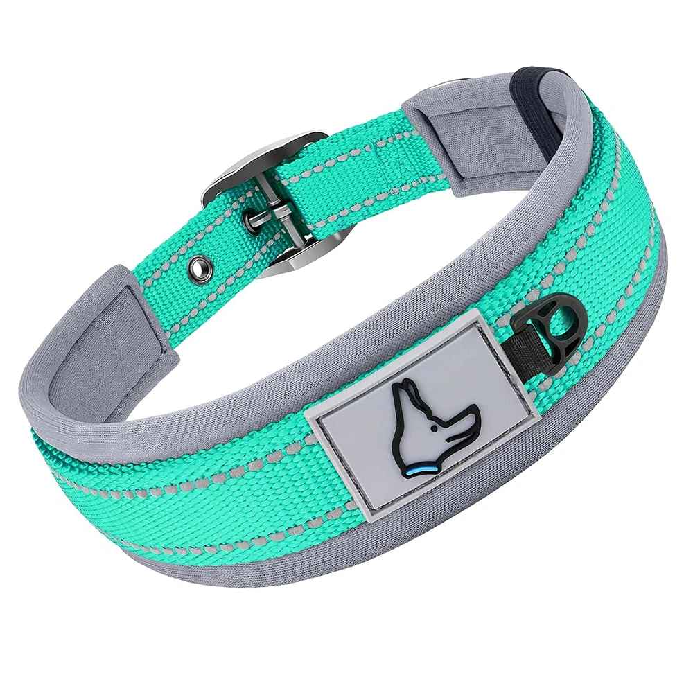 Collier Réfléchissant Pour Chien | Nuit Secure - Excursion Chien