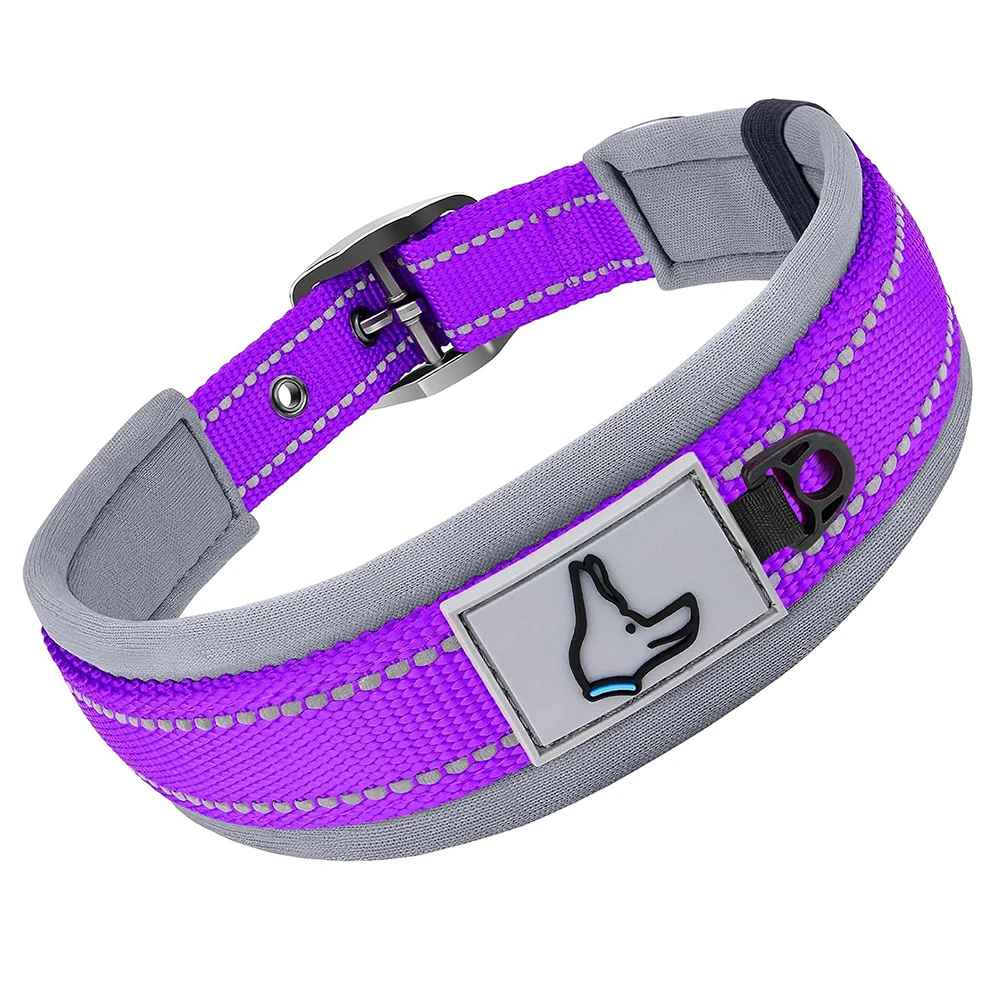 Collier Réfléchissant Pour Chien | Nuit Secure - Excursion Chien