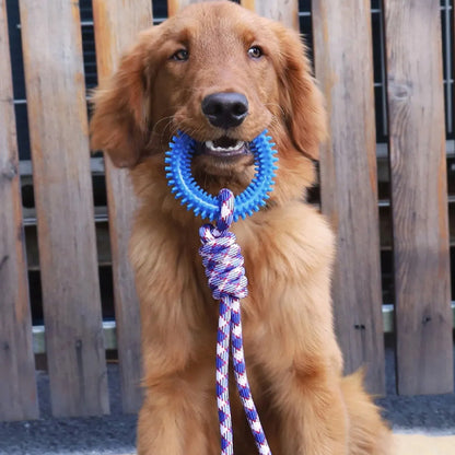 corde pour chien | Ultra-résistante