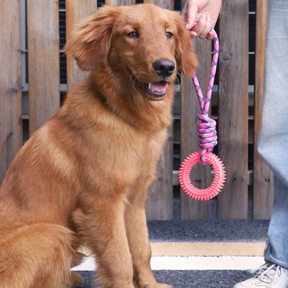 corde pour chien | Ultra-résistante