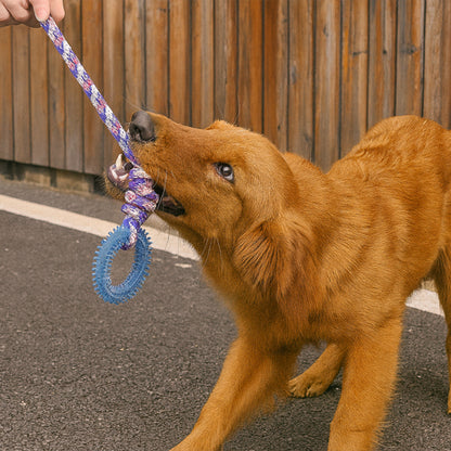 corde pour chien | Ultra-résistante