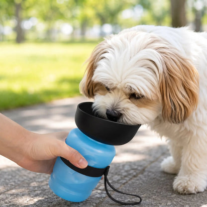 Distributeur D'eau Pour Chien | Portable 500ml