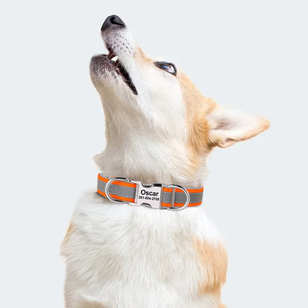 Collier pour Chien gravé gris
