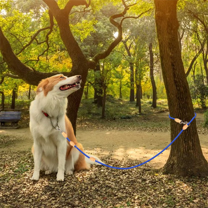 double laisse pour chien avec attaches pivotantes