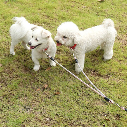 double laisse pour chien avec coupleur réglable