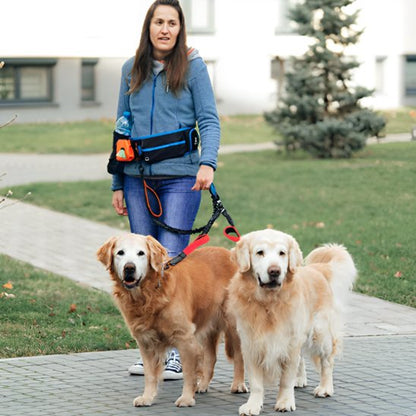 Double laisse pour chien avec Mousquetons pivotants robustes