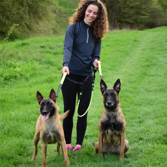 Double laisse pour chien avec système de séparation rapide