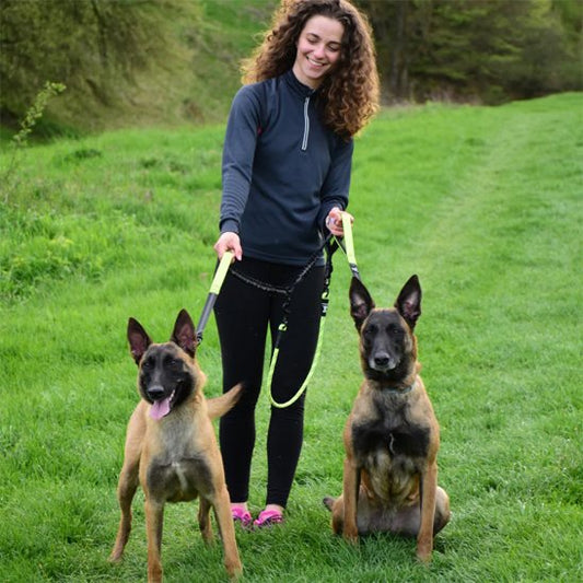Double laisse pour chien avec système de séparation rapide