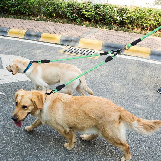 double laisse pour chien avec système en Y qui permet de promener deux chiens simultanément