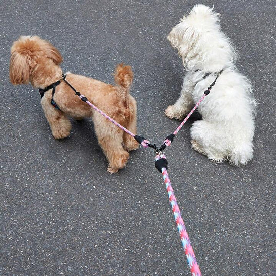 double laisse pour chien confortable