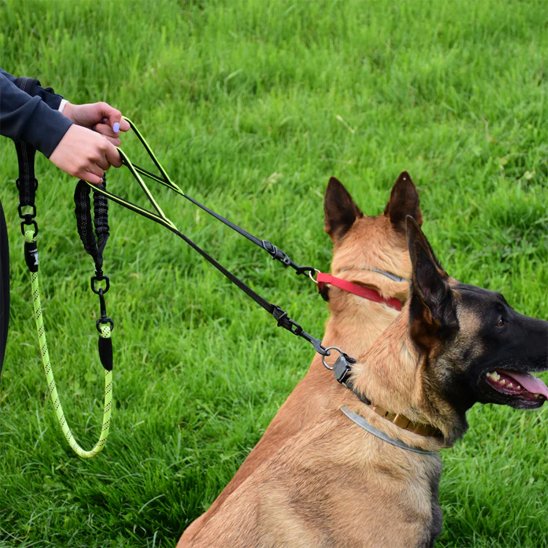Double laisse pour chien qui protège votre poignet et élimine le risque de torsion du poignet