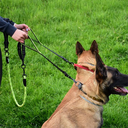 Double laisse pour chien qui protège votre poignet et élimine le risque de torsion du poignet