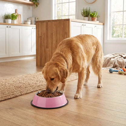 Gamelle Chien Inox Rose - Excursion Chien