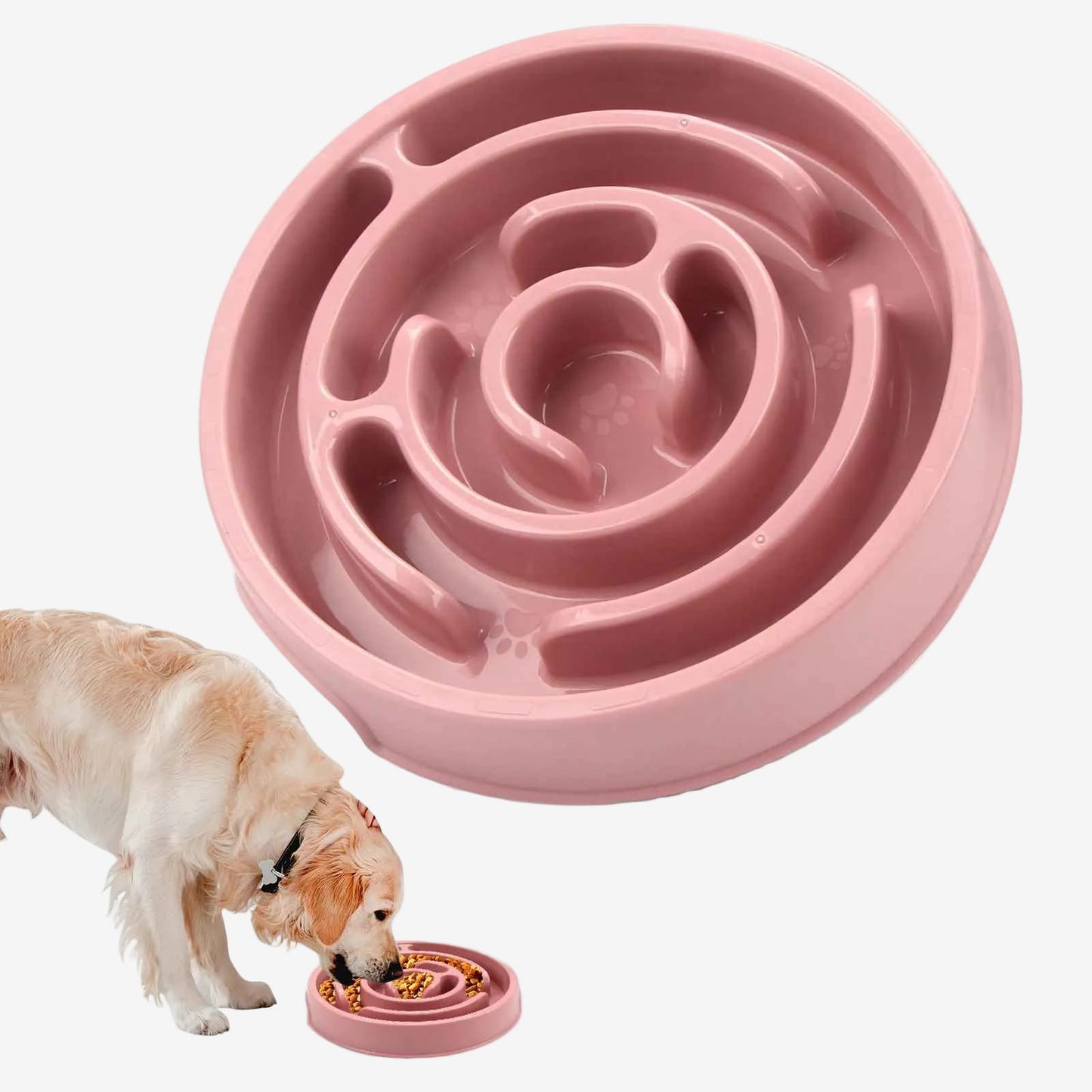 Gamelle Anti-glouton Chien | Digestion Saine