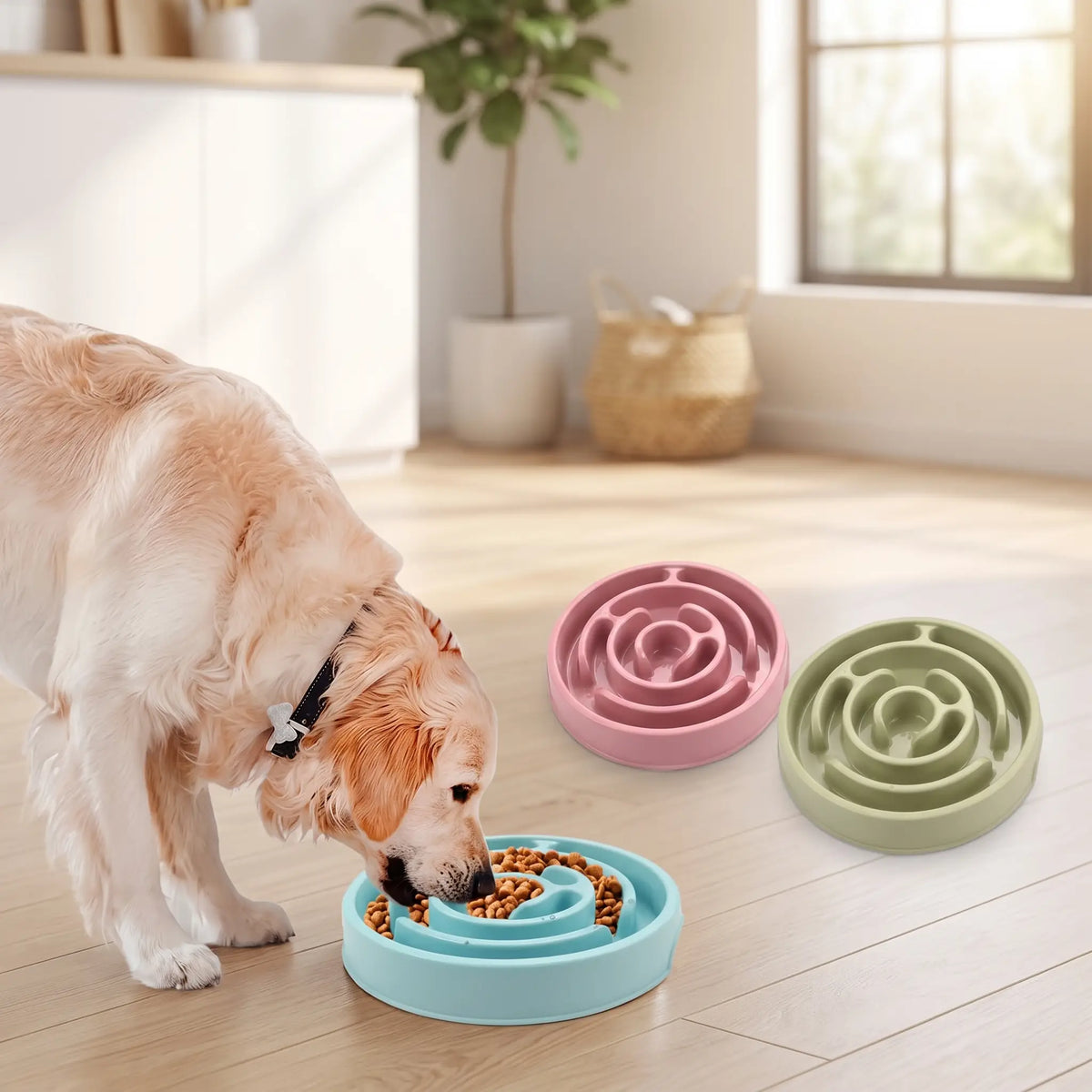 Gamelle Anti-glouton Chien | Digestion Saine