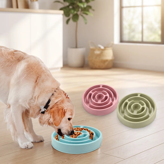 Gamelle Anti-glouton Chien | Digestion Saine