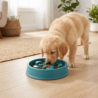 Gamelle Anti Glouton Chiot | Repas Sereins - Excursion Chien