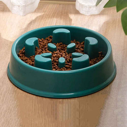 Gamelle anti-glouton adaptée aux croquettes pour chiot