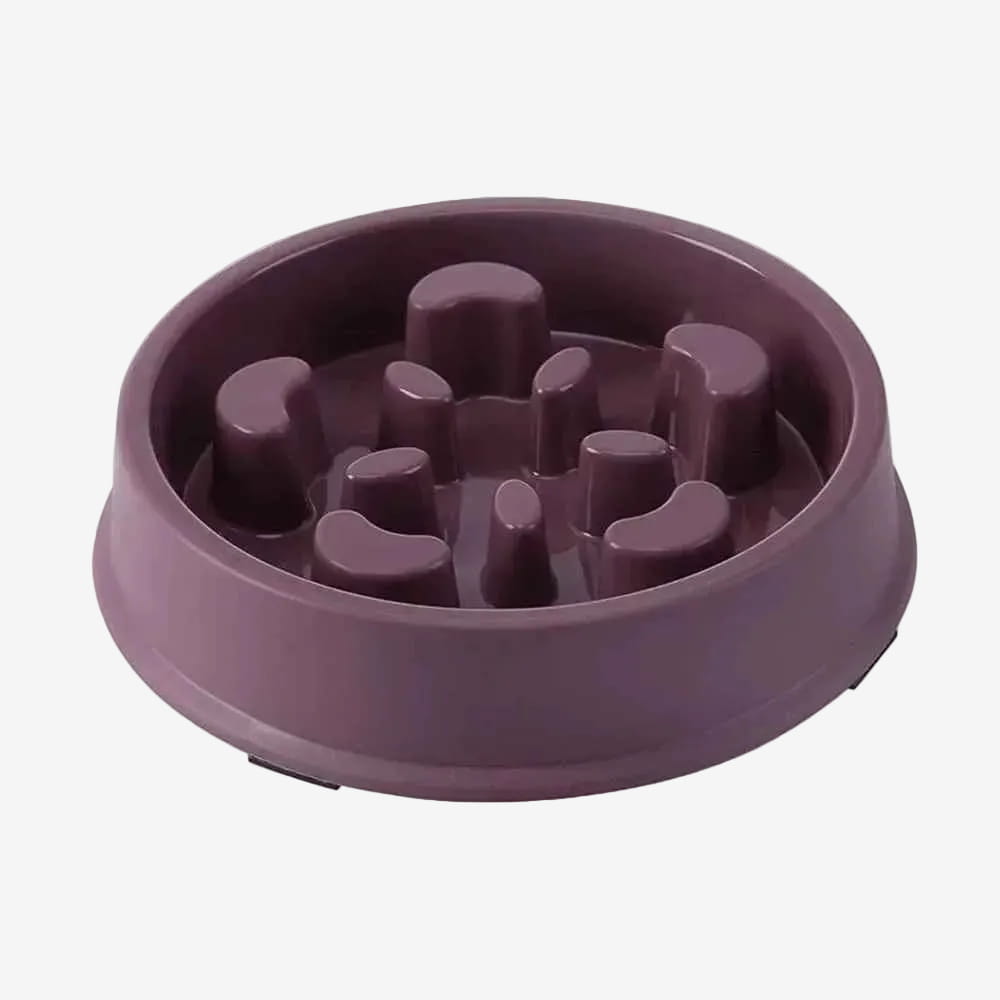 Gamelle Anti Glouton Chiot | Repas Sereins - Excursion Chien