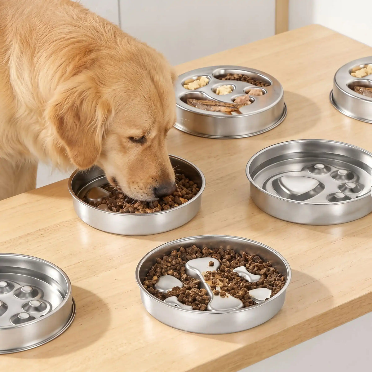 Gamelle Anti Glouton Inox | SlowFood - Excursion Chien