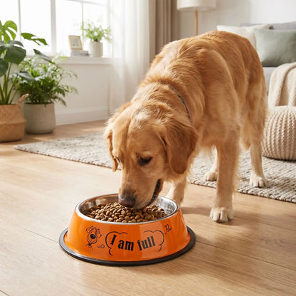 gamelle chien inox orange antidérapante qui reste stable au sol pendant que votre chien se nourrit