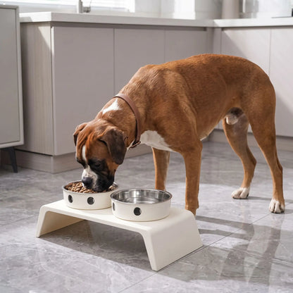 Gamelle Chien Surélevée | Posture Saine