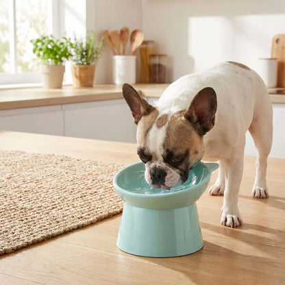 gamelle chien surélevée bleu pâle qui Protège naturellement le cou et les articulations de l'animal