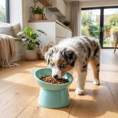 gamelle chien surélevée bleu pâle qui réduit les tensions du cou de l'animal