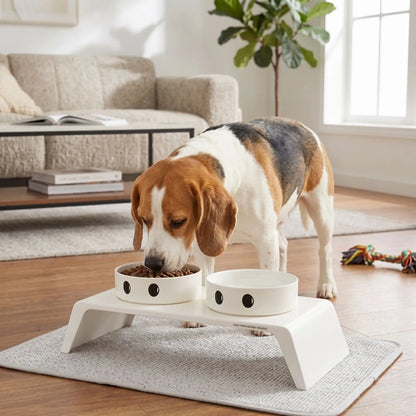 Gamelle Chien Surélevée | Posture Saine
