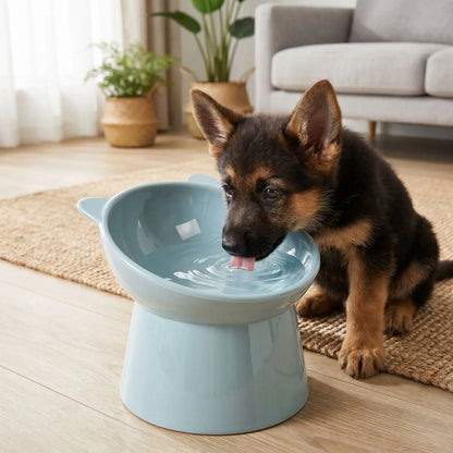 gamelle chien surélevée gris pâle qui donne une posture confortable à votre animal pendant ses repas