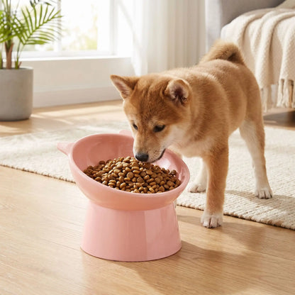 gamelle chien surélevée rose pâle avec base antidérapant qui tient fermement au sol
