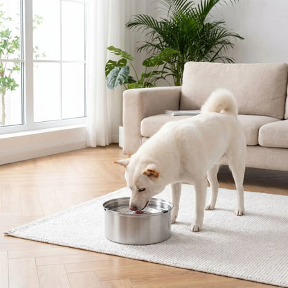 Gamelle Eau Chien Anti Renversement | Acier inoxydable - Excursion Chien