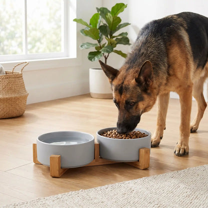gamelle résistante pour chien avec support surélevé en bambou qui donne du confort à votre animal pendant ses repas