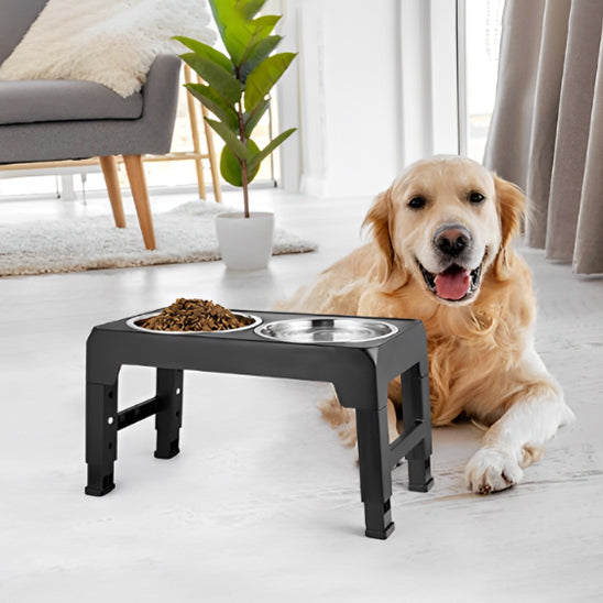 gamelles surelevees pour chien en finition noire mate s'harmonise avec tous les styles d'intérieur