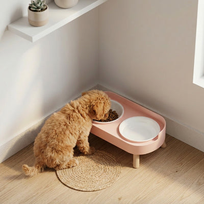 gamelles surélevées pour chiens confortable