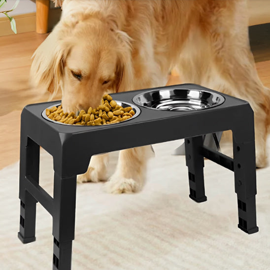 gamelles surelevees pour chiens confortables pour votre compagnon pendant les repas