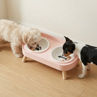 gamelles surélevées pour chiens qui soulage les articulations du cou lors des repas