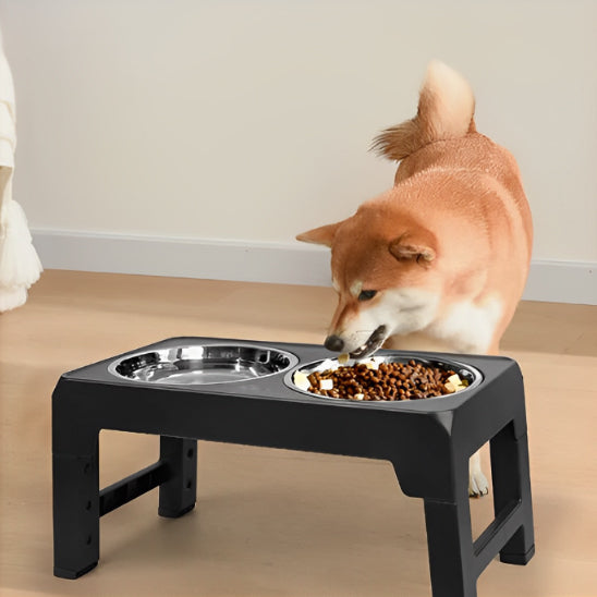 gamelles surelevees pour chiens ultra-pratiques
