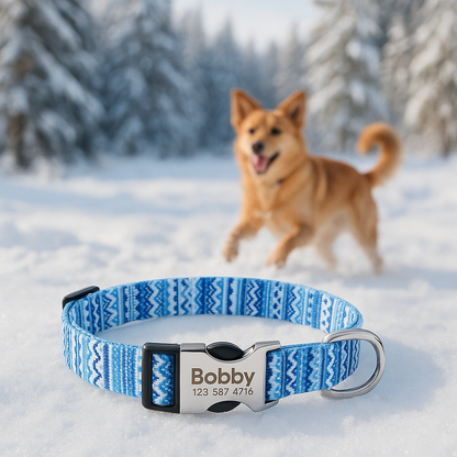 Collier Chien personnalisé bleu