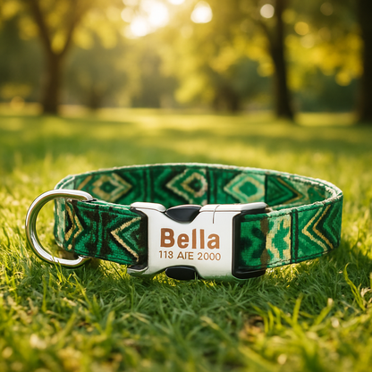 Collier Chien personnalisé vert