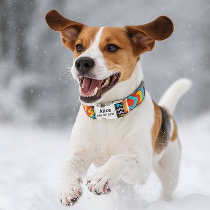 Collier Chien personnalisé orange