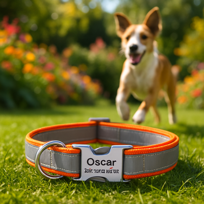 Collier pour Chien gravé gris