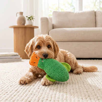 Petit Canard Jouet | Résistant 3-en-1 - Excursion Chien