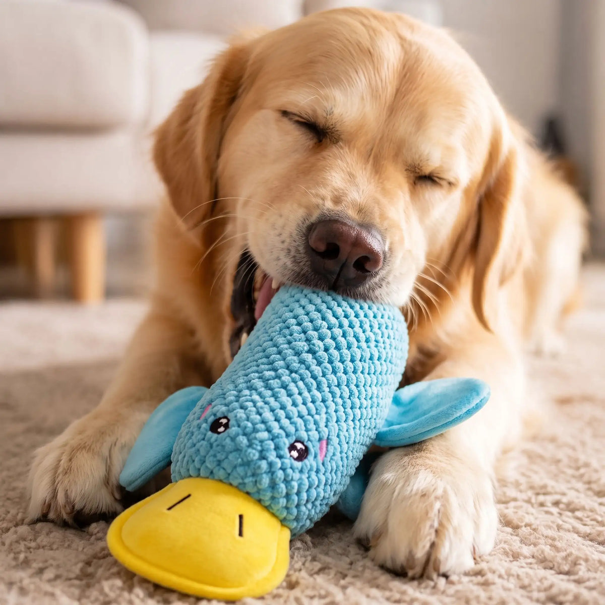 Petit Canard Jouet | Résistant 3-en-1 - Excursion Chien